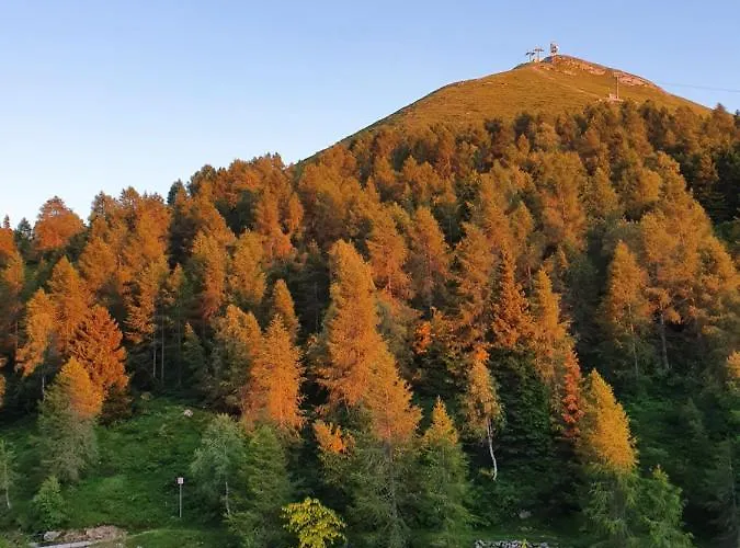 Rifugio Campelli Otel
